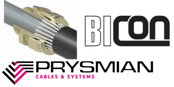 Termination Technology BW20SPK M20 Indoor SWA Brass Cable Gland Pack of 2 | Model BW20SPK — Trade Pack of 10