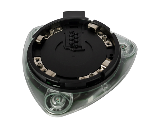 Apollo Discovery Base VAD Cat C Black White Flash | Model 58006-500