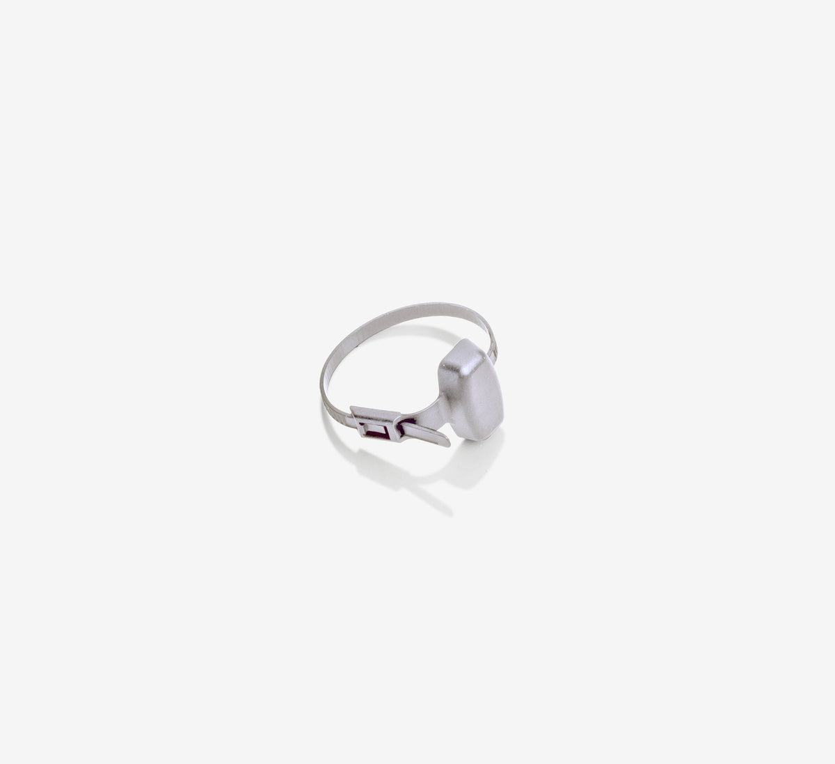 Paxton 698-574SL Watchprox silver — pack of 10